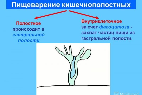Кракен это современный даркнет
