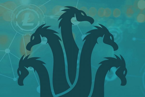 Kraken dark net