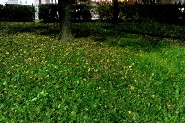 Ссылки на кракен зеркала