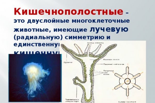 Как подключиться к даркнету