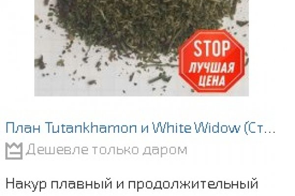 Даркнет каталог